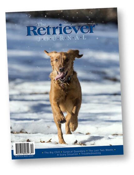RetrieverJournal_1